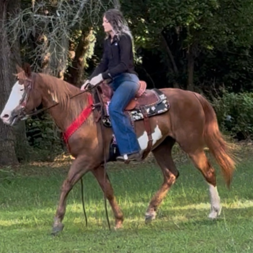 Meet your Posher, Brena